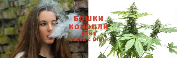 сатива Бронницы