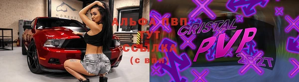 сатива Бронницы