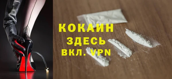 ешки Бородино