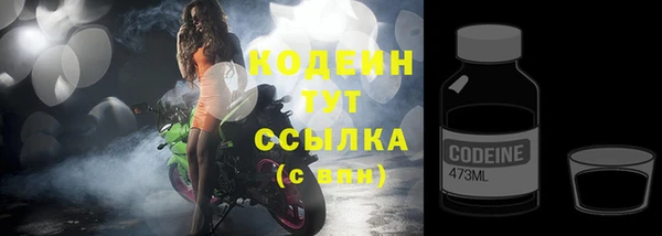 ешки Бородино