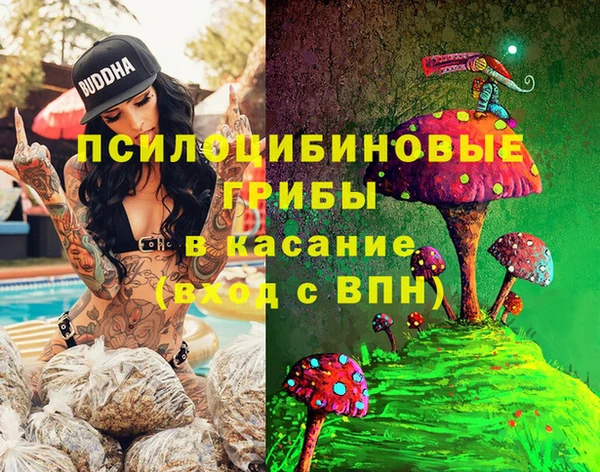 сатива Бронницы