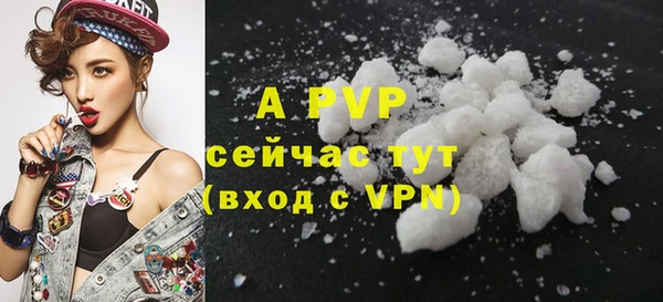 сатива Бронницы
