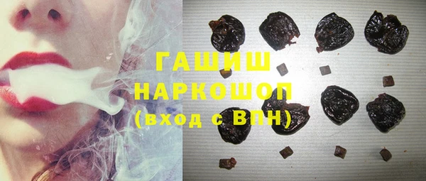 ешки Бородино
